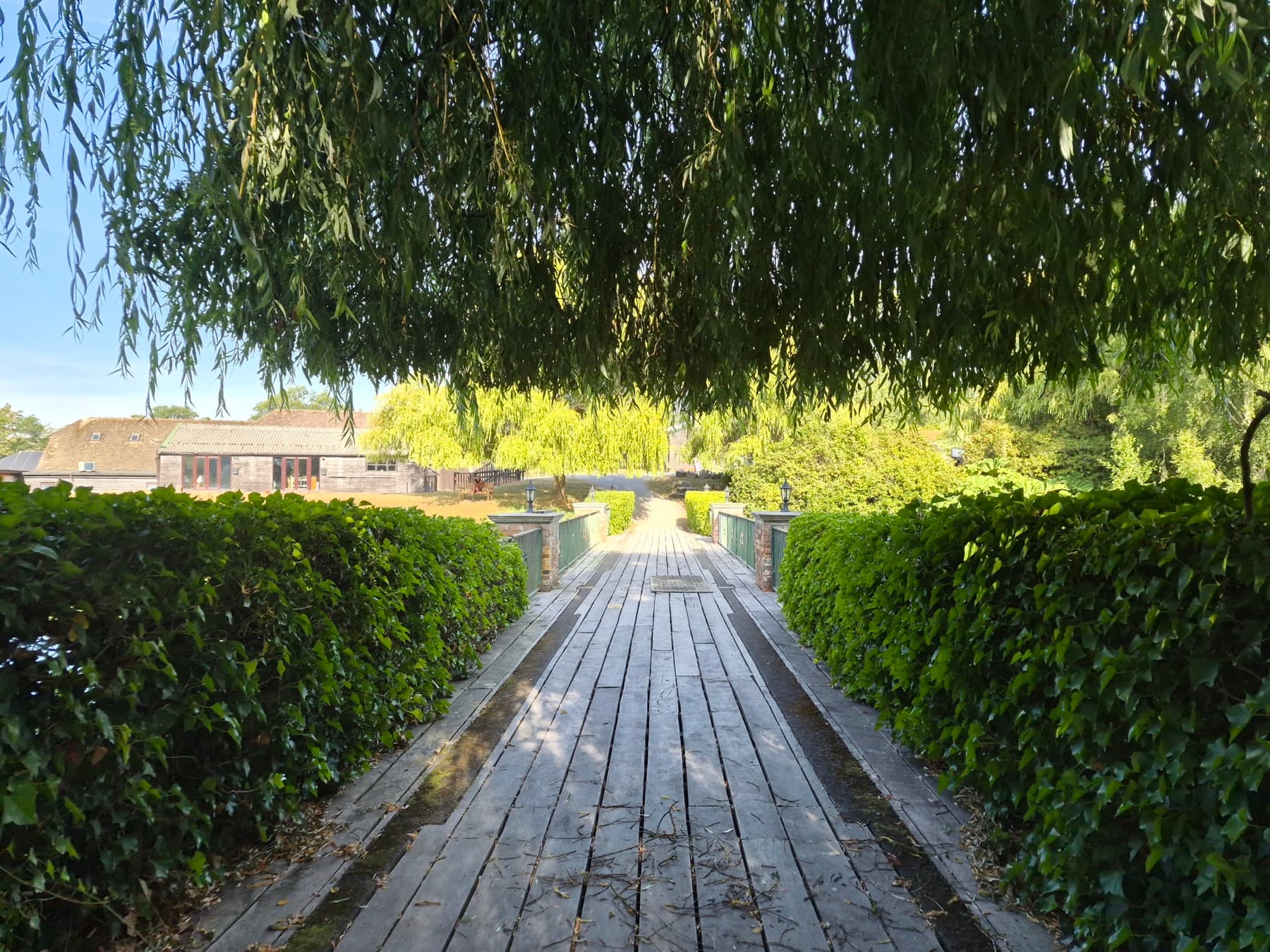 Looking across the wooden footbridge under the willow, toward the buildings at Hawkhurst Fish Farm